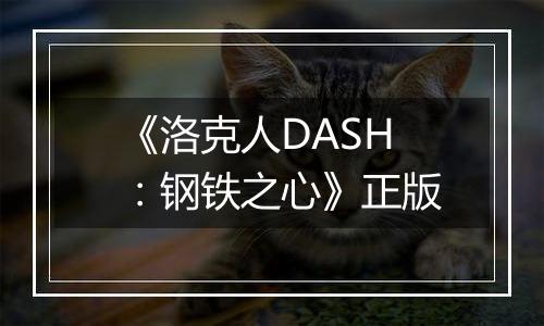 《洛克人DASH：钢铁之心》正版