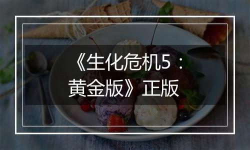 《生化危机5：黄金版》正版