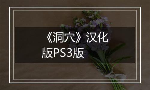 《洞穴》汉化版PS3版
