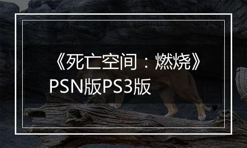 《死亡空间：燃烧》PSN版PS3版