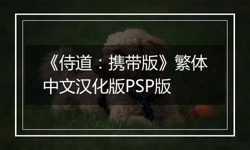 《侍道：携带版》繁体中文汉化版PSP版