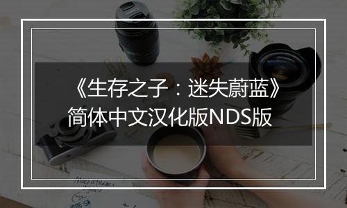 《生存之子：迷失蔚蓝》简体中文汉化版NDS版
