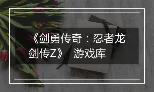 《剑勇传奇：忍者龙剑传Z》  游戏库