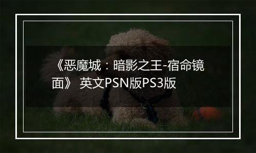 《恶魔城：暗影之王-宿命镜面》 英文PSN版PS3版