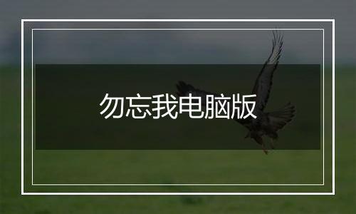 勿忘我电脑版