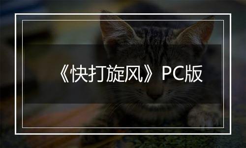 《快打旋风》PC版
