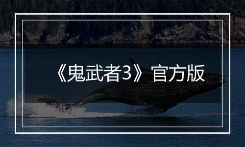 《鬼武者3》官方版