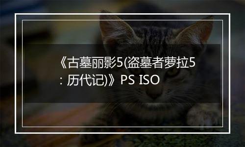 《古墓丽影5(盗墓者萝拉5:历代记)》PS ISO