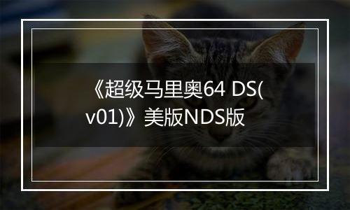 《超级马里奥64 DS(v01)》美版NDS版
