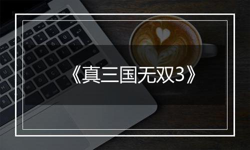 《真三国无双3》
