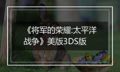 《将军的荣耀:太平洋战争》美版3DS版