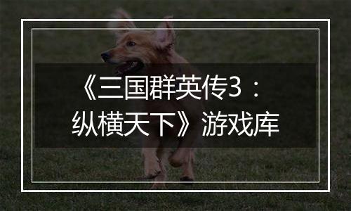 《三国群英传3：纵横天下》游戏库