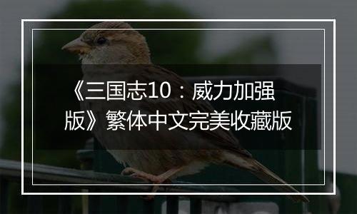 《三国志10：威力加强版》繁体中文完美收藏版