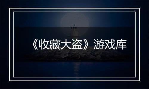 《收藏大盗》游戏库