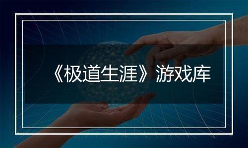 《极道生涯》游戏库