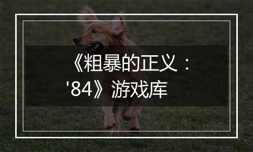 《粗暴的正义：'84》游戏库