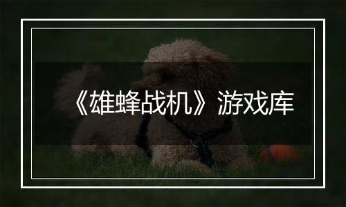 《雄蜂战机》游戏库