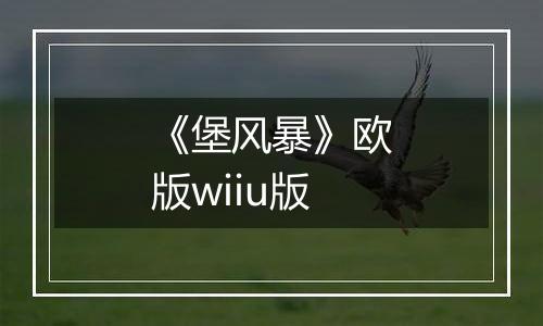 《堡风暴》欧版wiiu版