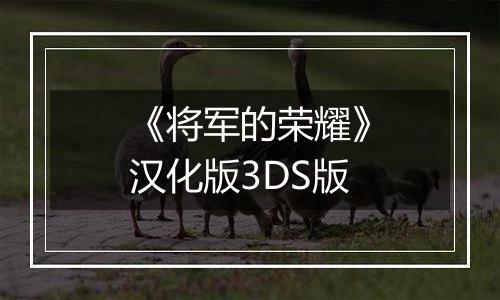 《将军的荣耀》汉化版3DS版