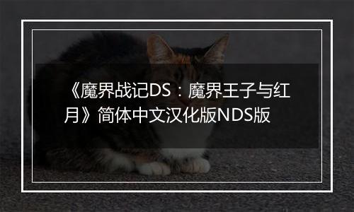《魔界战记DS：魔界王子与红月》简体中文汉化版NDS版