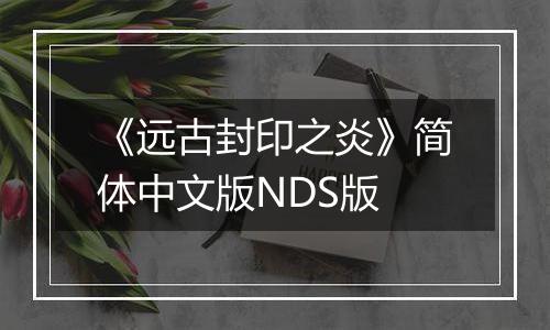 《远古封印之炎》简体中文版NDS版