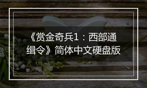 《赏金奇兵1:西部通缉令》简体中文硬盘版