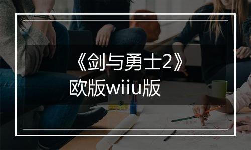 《剑与勇士2》欧版wiiu版