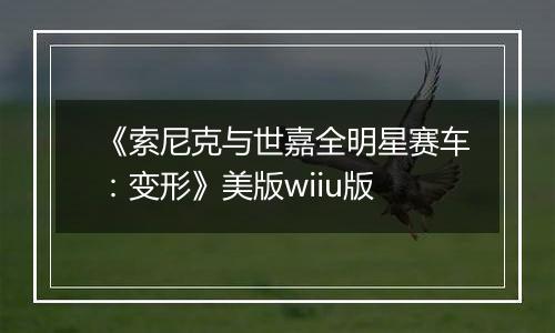 《索尼克与世嘉全明星赛车:变形》美版wiiu版