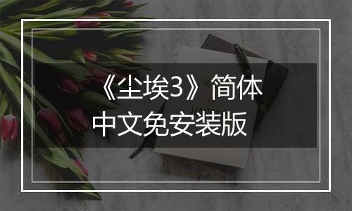 《尘埃3》简体中文免安装版
