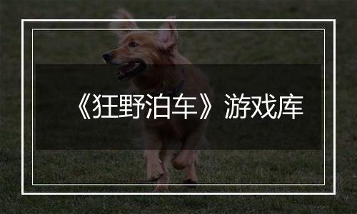 《狂野泊车》游戏库