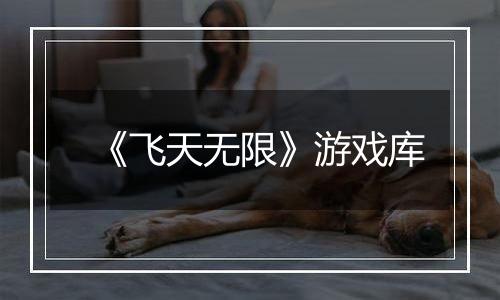《飞天无限》游戏库