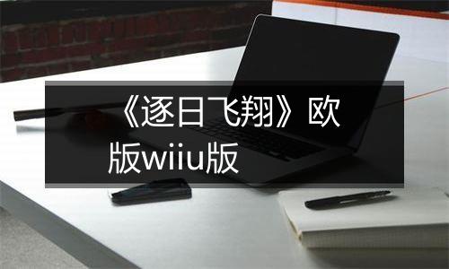 《逐日飞翔》欧版wiiu版