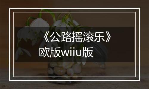 《公路摇滚乐》欧版wiiu版