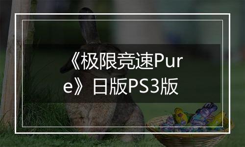 《极限竞速Pure》日版PS3版