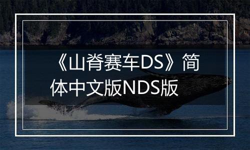 《山脊赛车DS》简体中文版NDS版