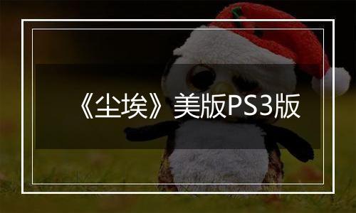 《尘埃》美版PS3版