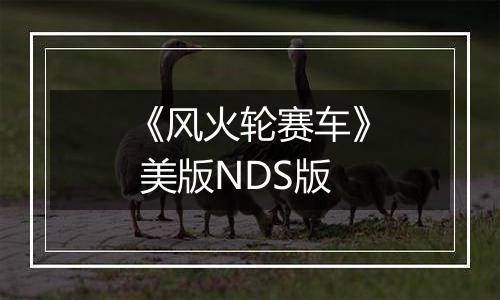 《风火轮赛车》 美版NDS版