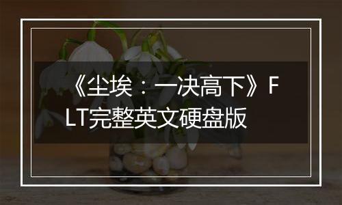 《尘埃：一决高下》FLT完整英文硬盘版