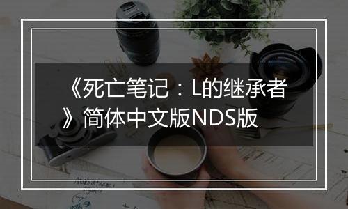 《死亡笔记：L的继承者》简体中文版NDS版