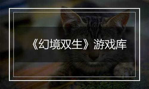 《幻境双生》游戏库