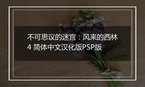 不可思议的迷宫：风来的西林4 简体中文汉化版PSP版