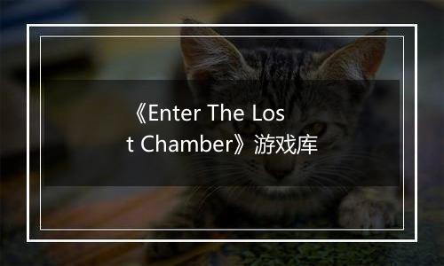 《Enter The Lost Chamber》游戏库