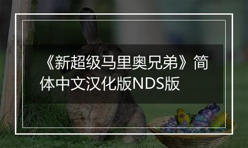 《新超级马里奥兄弟》简体中文汉化版NDS版