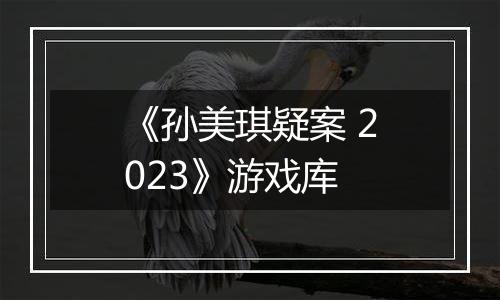 《孙美琪疑案 2023》游戏库