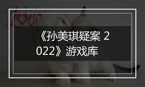 《孙美琪疑案 2022》游戏库
