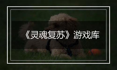 《灵魂复苏》游戏库