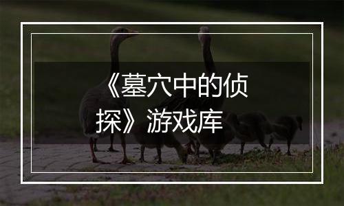 《墓穴中的侦探》游戏库
