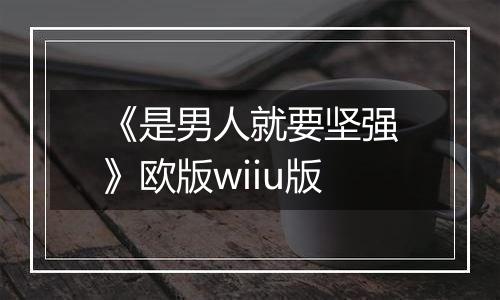 《是男人就要坚强》欧版wiiu版