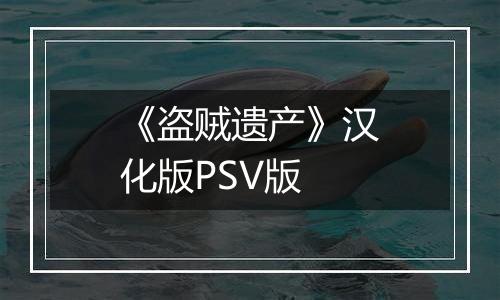 《盗贼遗产》汉化版PSV版