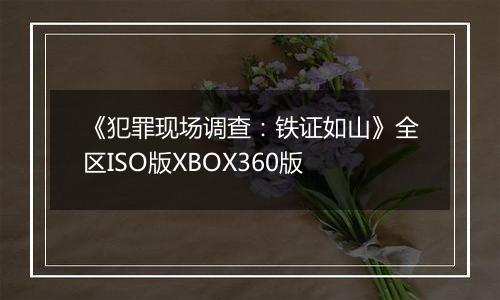 《犯罪现场调查：铁证如山》全区ISO版XBOX360版